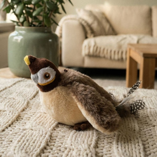 Interactieve Speelvogel
